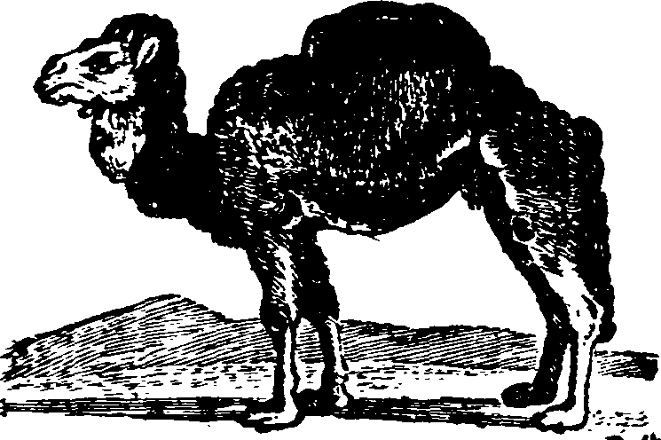021/021910070100930_0.png