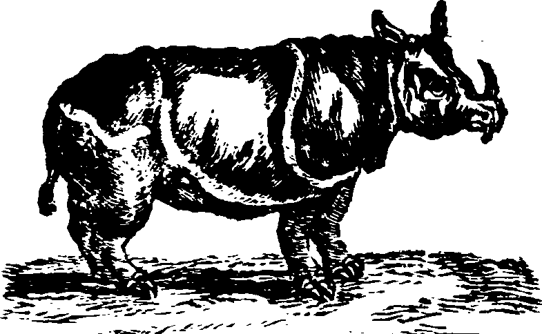 021/021910070101050_0.png
