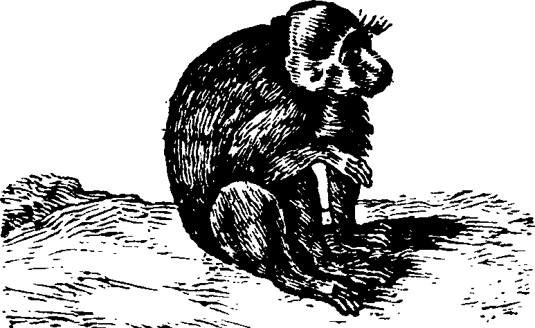 021/021910070101300_0.png