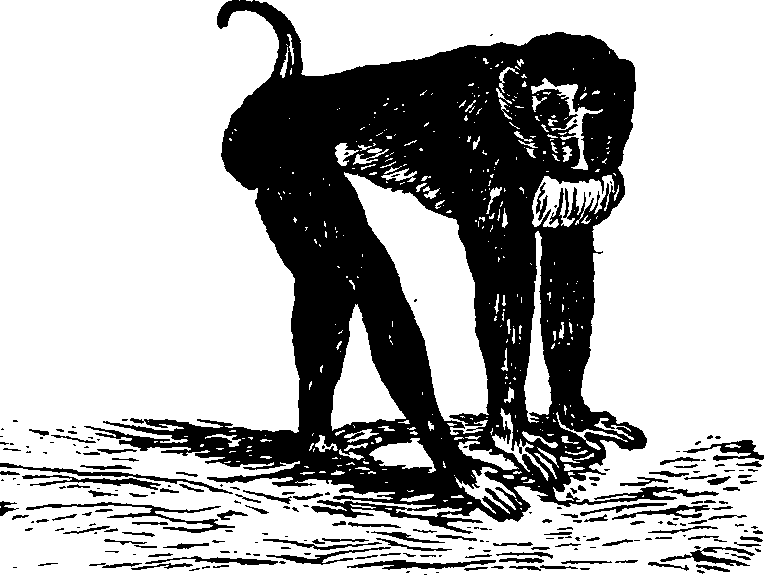 021/021910070101320_0.png
