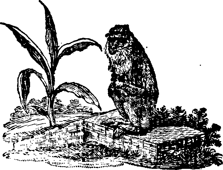021/021910070101340_0.png