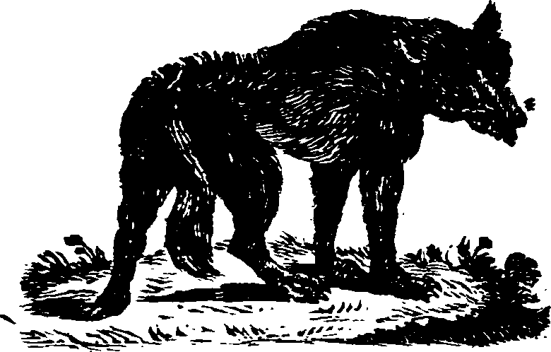 021/021910070101530_0.png