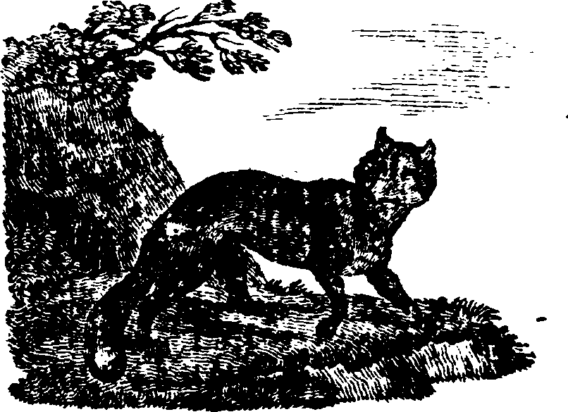 021/021910070101560_0.png