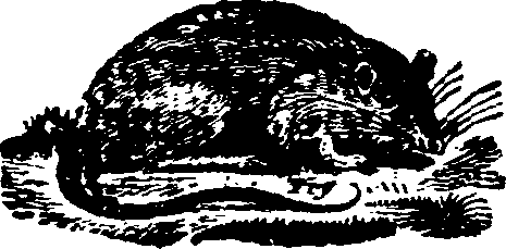 021/021910070101610_0.png