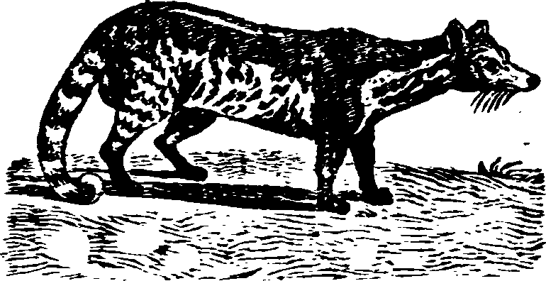 021/021910070101830_0.png