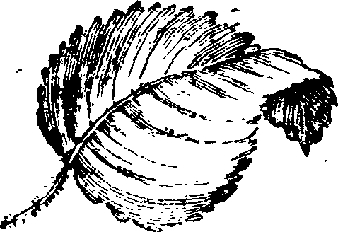 021/021910070101860_0.png