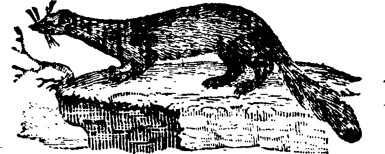 021/021910070101900_0.png