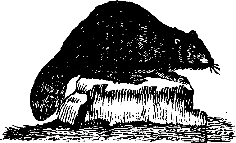 021/021910070101940_0.png
