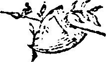 021/021910070101970_0.png