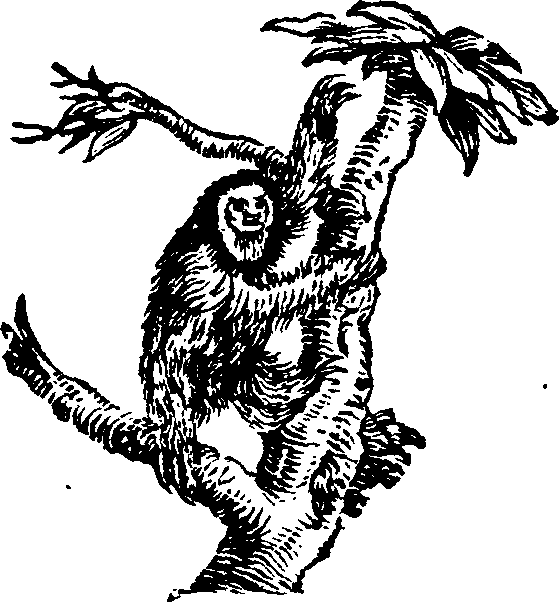 021/021910070102020_0.png