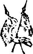 021/021910070102050_0.png