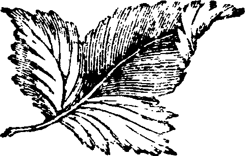 021/021910070102180_0.png