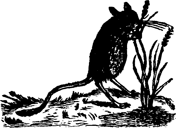 021/021910070102190_0.png