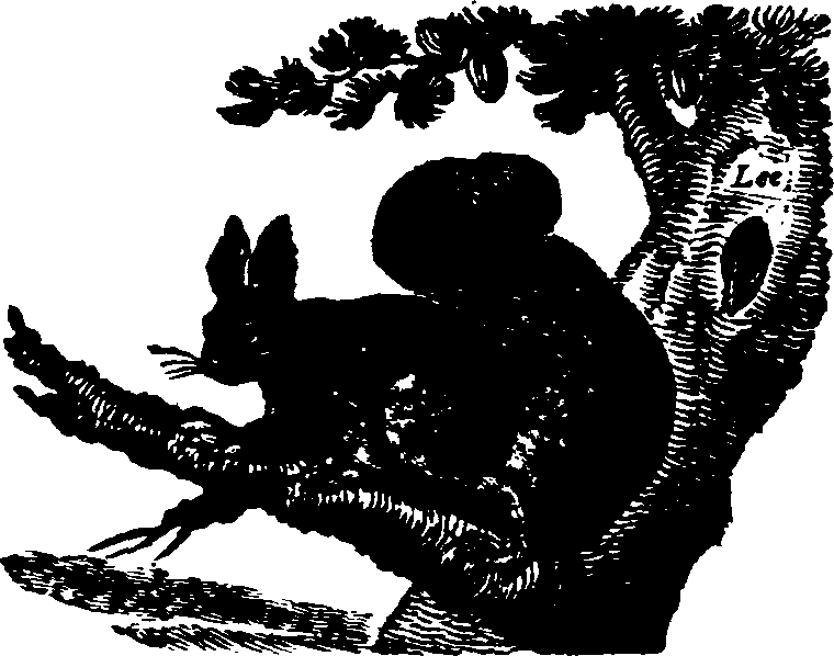 021/021910070102230_0.png