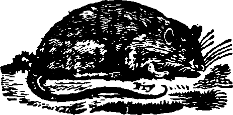 021/021910070102430_0.png