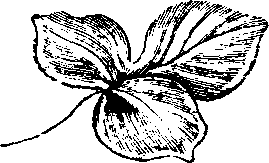 021/021910070102480_0.png