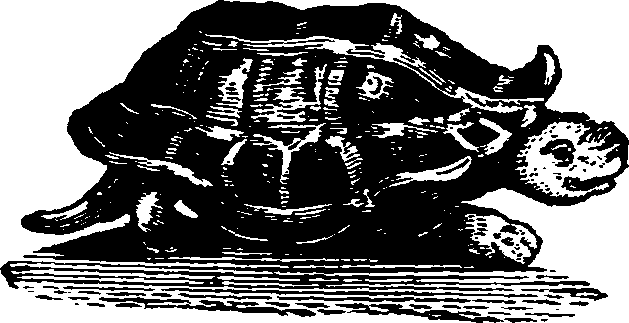 021/021910070102490_0.png