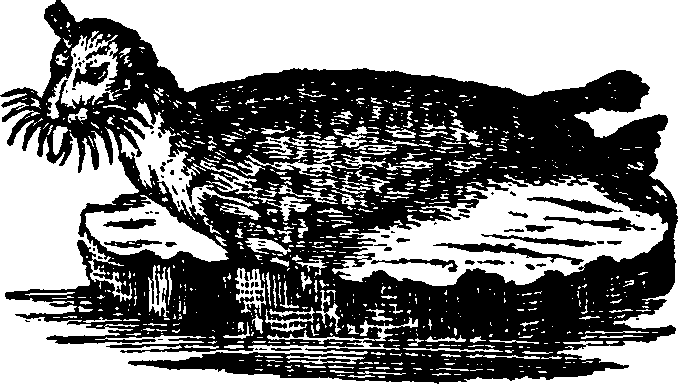 021/021910070102520_0.png