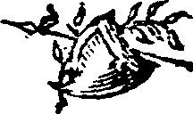 021/021910070102550_0.png