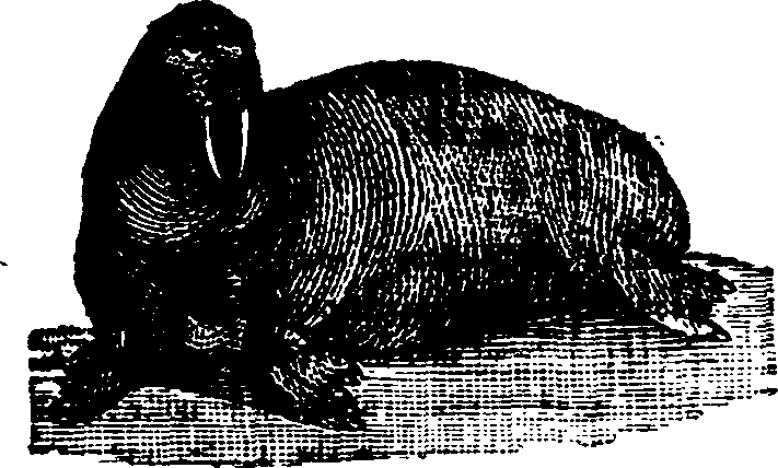 021/021910070102560_0.png