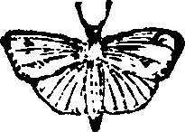 021/021910070200090_0.png