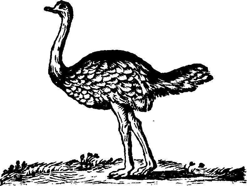 021/021910070200200_0.png