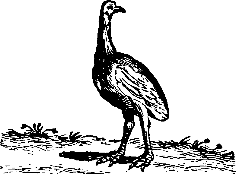 021/021910070200250_0.png