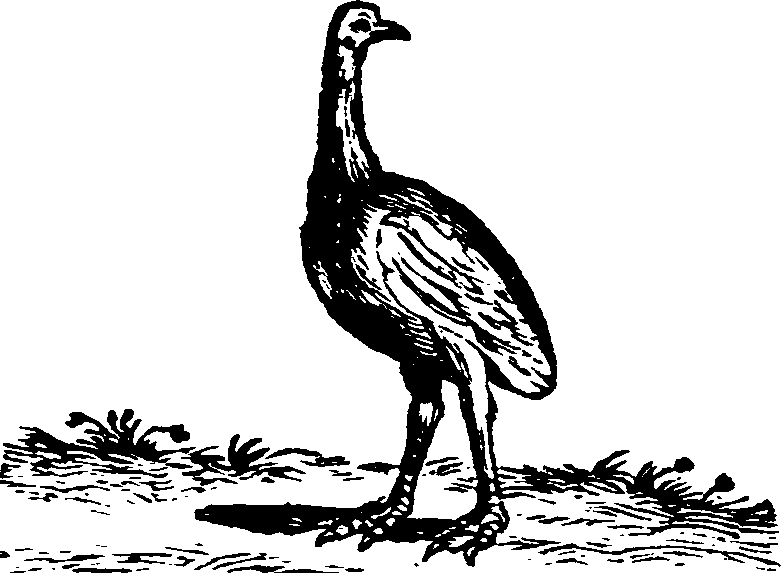 021/021910070200270_0.png
