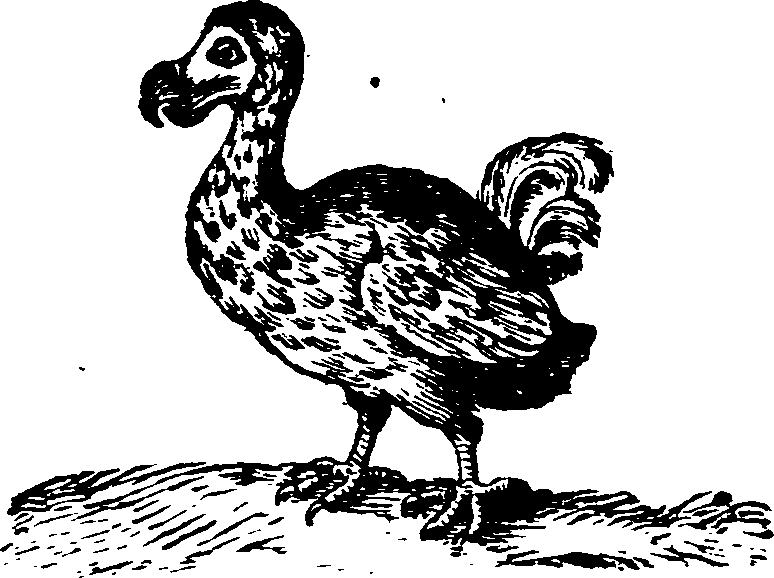 021/021910070200310_0.png