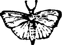 021/021910070200330_0.png
