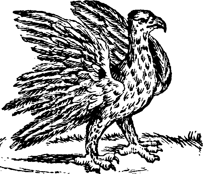 021/021910070200340_0.png