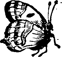 021/021910070200370_0.png