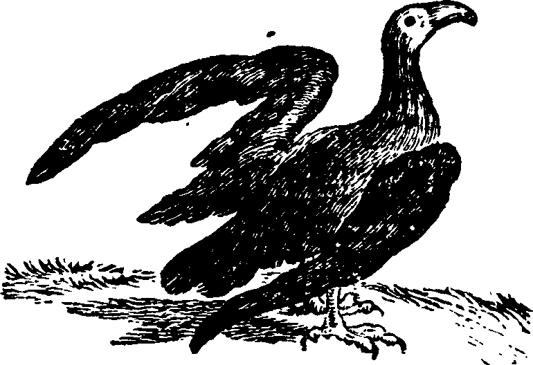 021/021910070200380_0.png