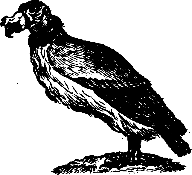 021/021910070200420_0.png