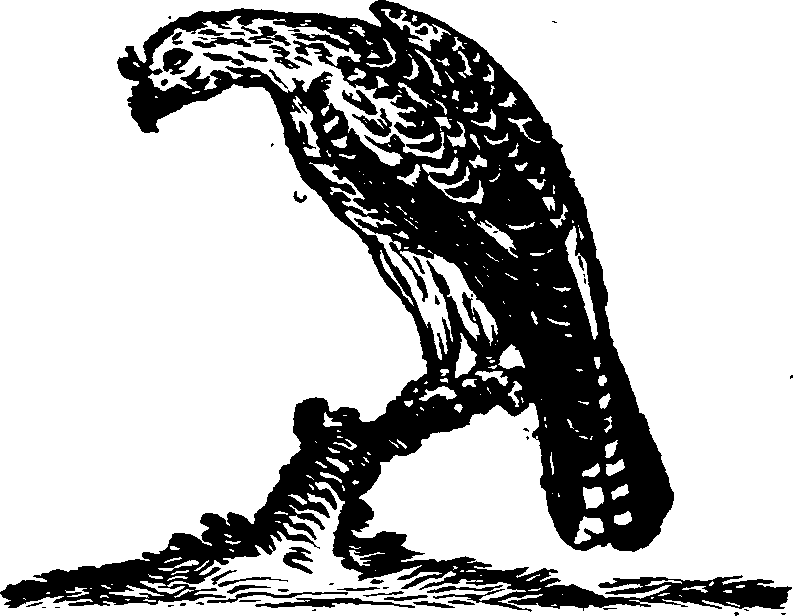 021/021910070200470_0.png
