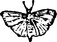 021/021910070200490_0.png