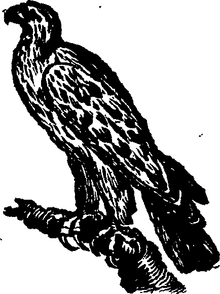 021/021910070200500_0.png