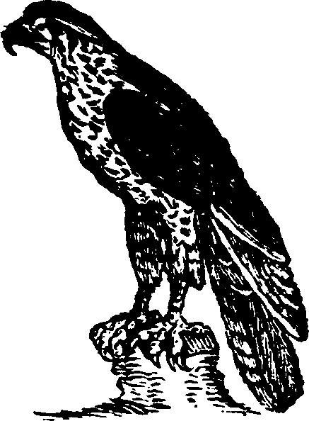 021/021910070200520_0.png