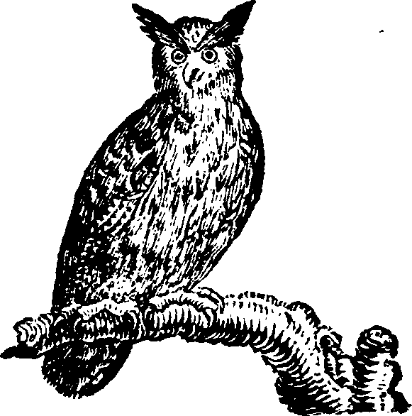 021/021910070200560_0.png