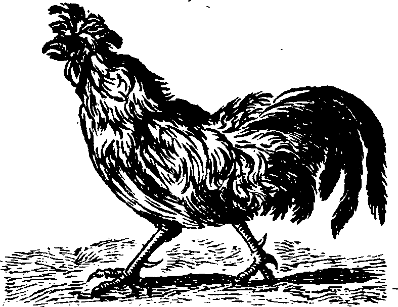 021/021910070200620_0.png