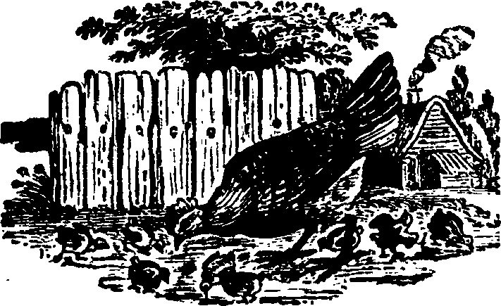 021/021910070200660_0.png