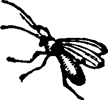021/021910070200690_0.png