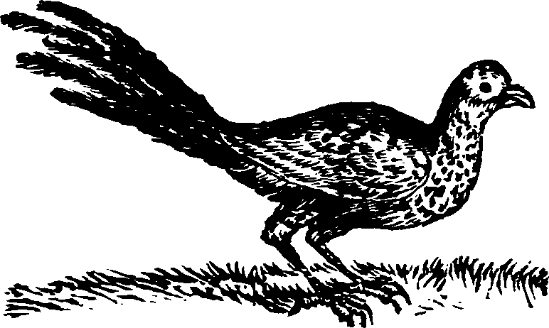 021/021910070200730_0.png
