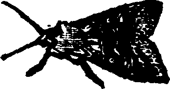 021/021910070200770_0.png