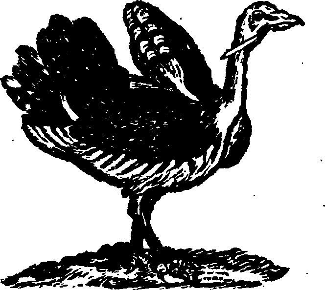 021/021910070200780_0.png