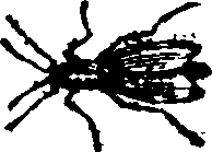 021/021910070200800_0.png