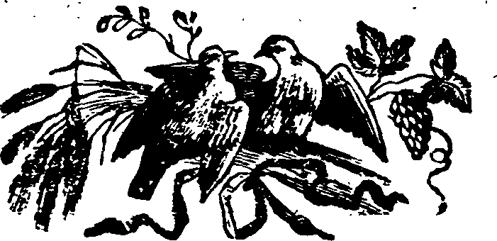 021/021910070200810_0.png