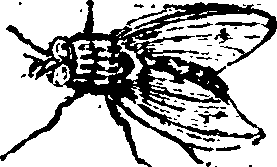 021/021910070200840_0.png