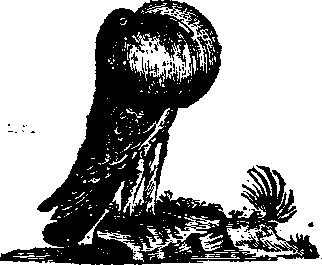 021/021910070200850_0.png
