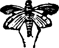 021/021910070200890_0.png